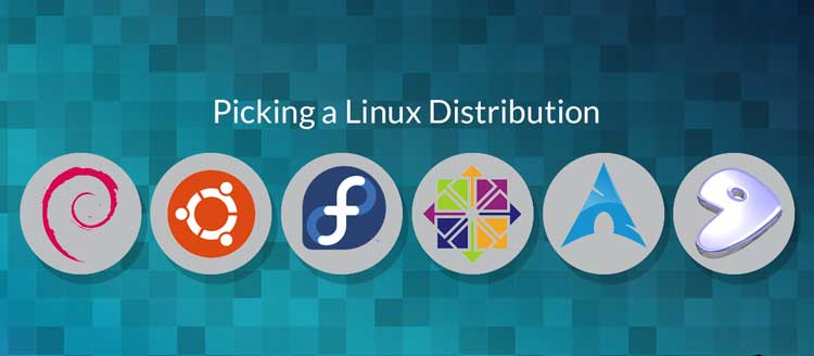 The Distributions of Linux