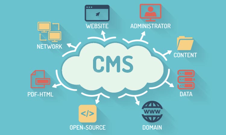 CMS (Content Management System) and Types of it